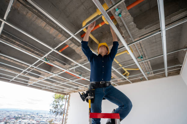 Best Sprinkler Systems  in South Pasadena, FL