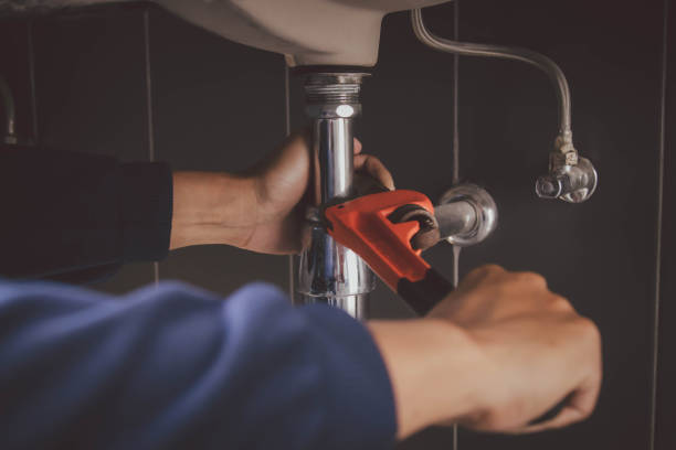 Best Plumbing Services Near Me  in South Pasadena, FL